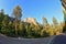 Abrupt turn of a highway, a pine and a rock