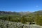 Absaroka Range