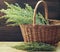 Absinth wormwood plant blossoms in a basket on wooden table on rustic background