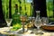 absinthe glassware and bottle on a sunny picnic day