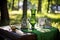 absinthe glassware and bottle on a sunny picnic day