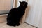 An absolutely black cat sits by the door and waits for it to open