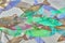 Abstact background of hanging fish of holographic trendy colors