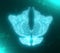 Abstact butterflies icon