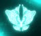 Abstact butterflies icon