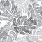 Abstact seamless pattern. Floral jungle palm leaves textu