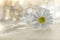 Abstarct blurred festive background with wine glass and white flower chamomile. Minimalism, top view. Copy space. Glassware in