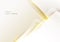 Abstract 3D modern luxury template design white triangles stripes and golden glitter line light sparking on clean background