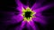 Abstract 3D violet yellow green blur light zoom in dark polygon curve hole animation video background