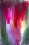 Abstract acrylic floral rose flowers boquet bunch red flames