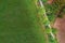 Abstract aerial photograph of a meadow next to a sloping path at the edge of a group of trees