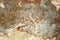 abstract ancient granite stone sheet surface cave for interior rust tone color