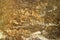 abstract ancient granite stone sheet surface cave for interior rust tone color