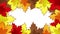 Abstract, Animated Frame of Autumn Maple Leaves. Video