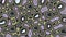 Abstract animated pattern