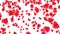 Abstract animation of falling flower petals. Red rose petals falling on the black background