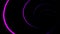 Abstract animation of swirling neon lines on black background. Animation. Digital graphics of neon tunnel twisting