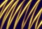Abstract art background navy blue color with wavy golden neon lines. Backdrop with curve fluorescent yellow ribbon