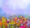 Abstract art oil painting of summer-spring flower. Meadow, landscape with wildflower