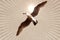 Abstract Art: Soaring Gull Under A White Hot Sun