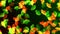 Abstract Artistic Green Yellow Orange Falling Ginkgo biloba Leaf Shapes And Glitter Sparkle Dust