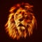 Abstract, artistic lion portrait. Fire flames fur