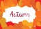 Abstract autumn background design. Ð¡reative fall poster with fr