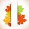 Abstract autumn background with white strip for te
