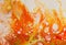 An abstract autumn bonfire in orange and red for backgrounds.