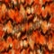 Abstract autumn color blur furry animal skin wavy backdrop Camouflage fashion trend