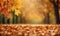 Abstract autumn foliage bokeh backdrop