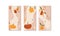 Abstract autumn print set. Fall poster with apple, pears, pumpkin, plum, plant in autumn colors. Trendy collage style