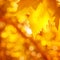 Abstract autumnal background