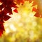 Abstract autumnal backgrounds