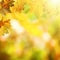 Abstract autumnal backgrounds