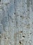 Abstract background - aged concrete wall