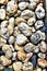 Abstract background backyard garden pebble stones