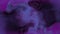 Abstract background black purple cyan smoke liquid animation