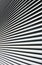 Abstract background. Black and white lines diverging in rays.