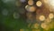 Abstract background. Blurred raindrops on a window glass at sunset. Yellow round spots on a green backdrop. Natural bokeh