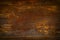 Abstract background brown wood texture