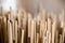 Abstract for background of Bulrushes Lepironia Articulata using as material for handicraft products, basket, bag, Thale Noi,