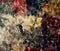 Abstract background of colored grunge texture of blurred paint smears and stains on textured canvas