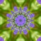 Abstract background of flower pattern of kaleidoscope. purple green background fractal mandala. kaleidoscopic arabesque