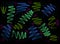 Abstract background freehand living materials, colored zigzag ribbons on black background