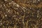 Abstract background of gold sequins dark shade