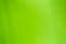 Abstract background green colour