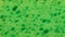 Abstract background of green foam rubber