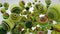 Abstract background with greenery balls, 3D rendering, stretched