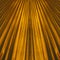 Abstract background of the lines and rays of gold and copper color.